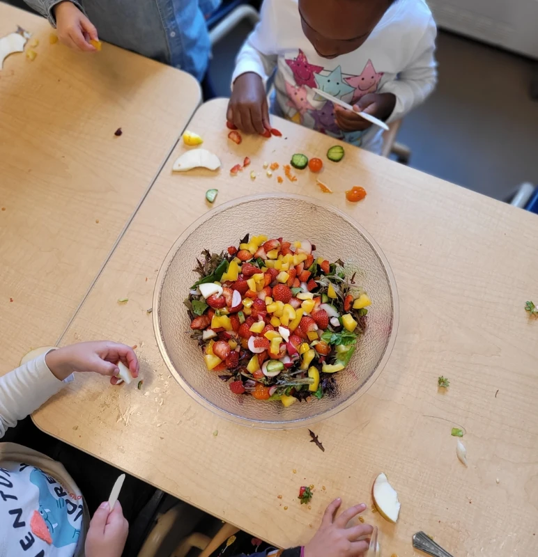 Activites thematiques educatives Institutions 1