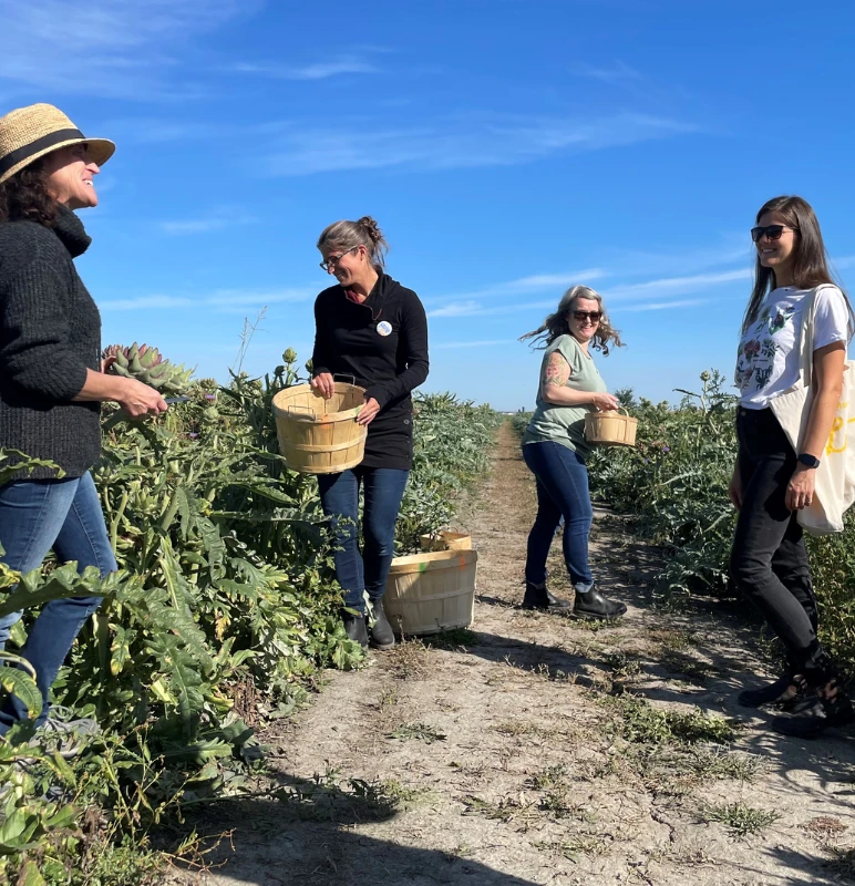 Autocueilette Institutions