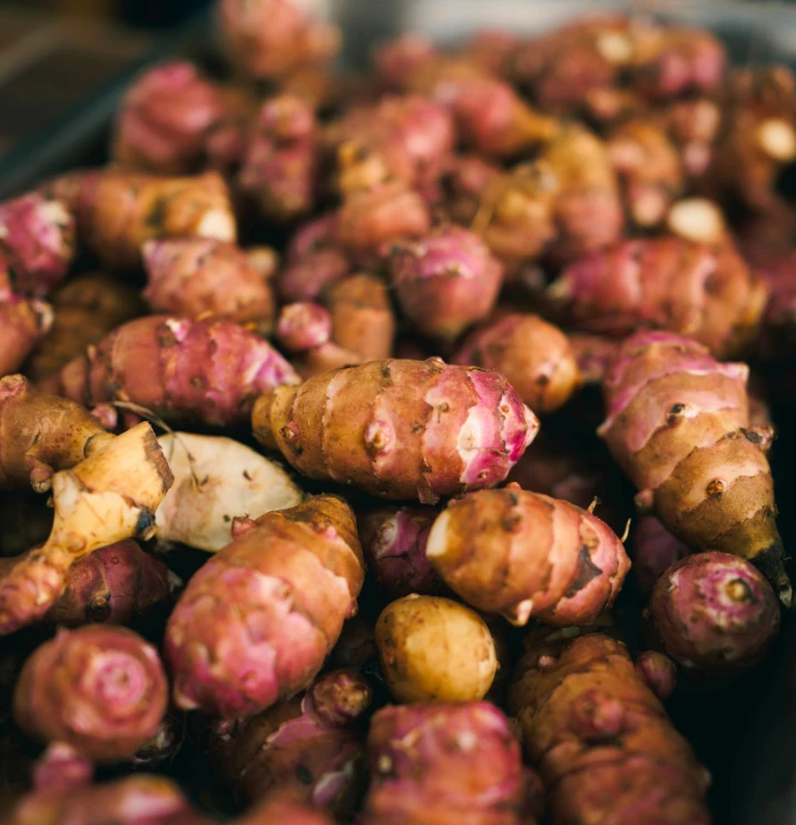 Inspirations Baumier topinambour noir 715x810 2