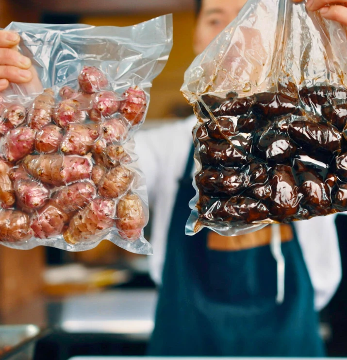 Inspirations Baumier topinambour noir 715x810 1