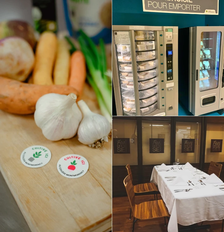 Inspirations institution astuce chef College Montmorency 715x810 machine legumes