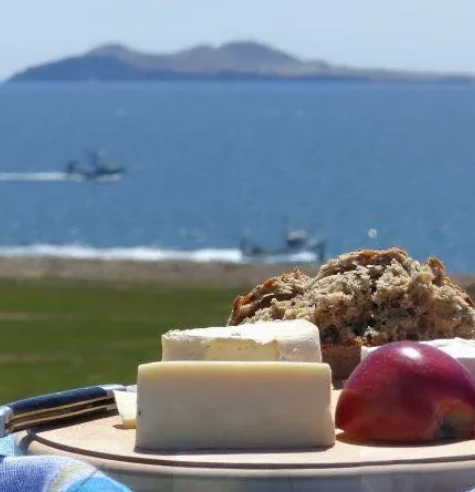 Fromagerie pied de vent iles