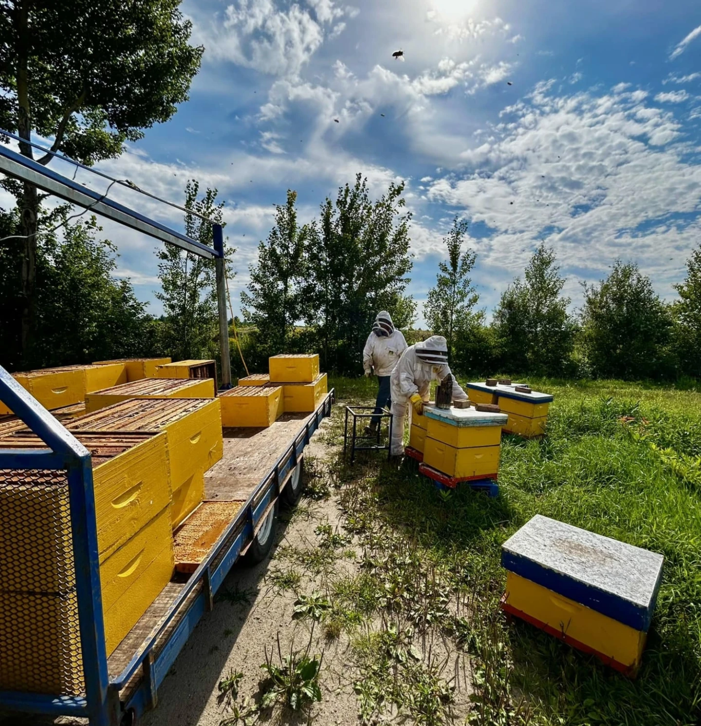 Producteur miel de chez nous