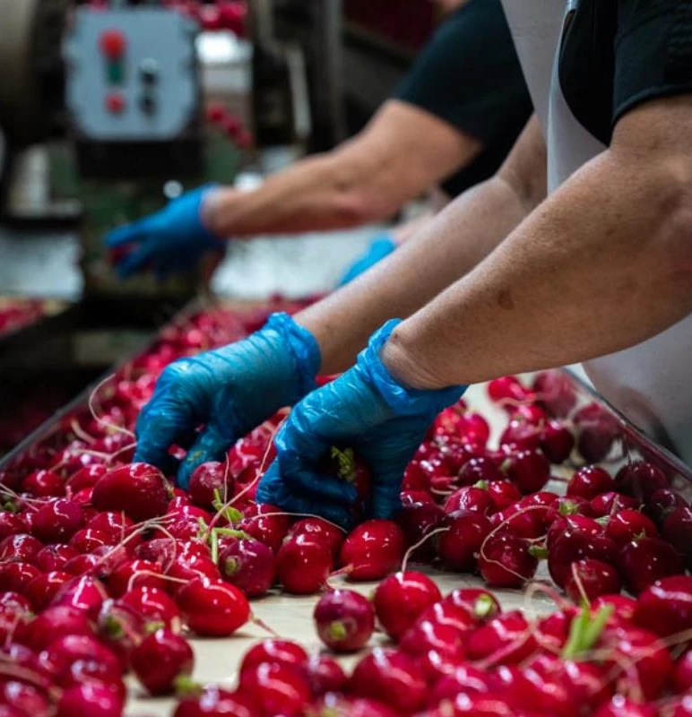 Pourquoi adherer profil entreprise radis 800x800