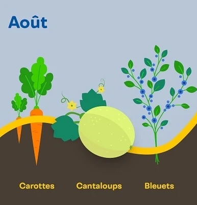 Aide memoire recoltes aout