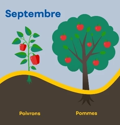 Aide memoire recoltes septembre
