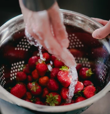 Fraises Rincees et stockees sur essuie tout 383x485