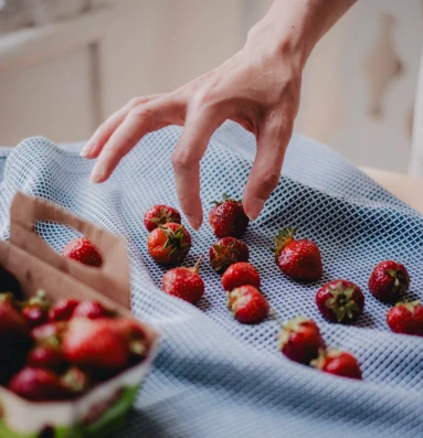 Fraises triees et remises dans leur carton