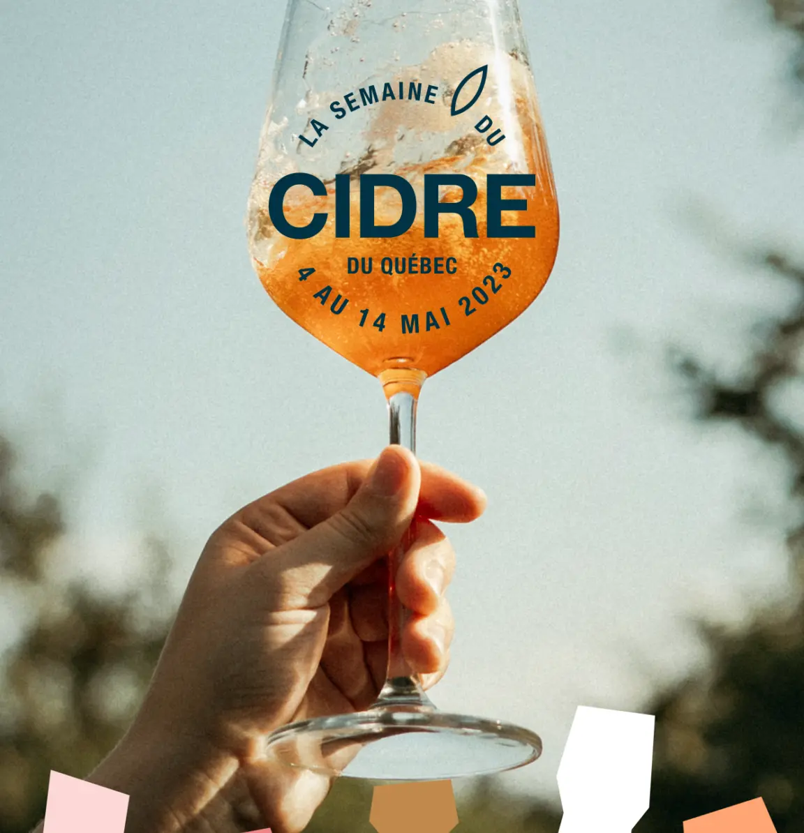 SDC Visuel IGS 2023 Photo