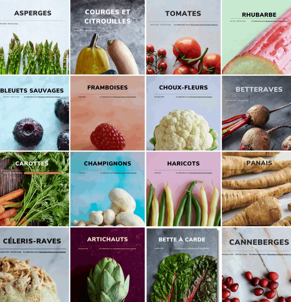 AQM Site Web Cahiers Zero Gaspi FLS 1200x1200 1024x1024