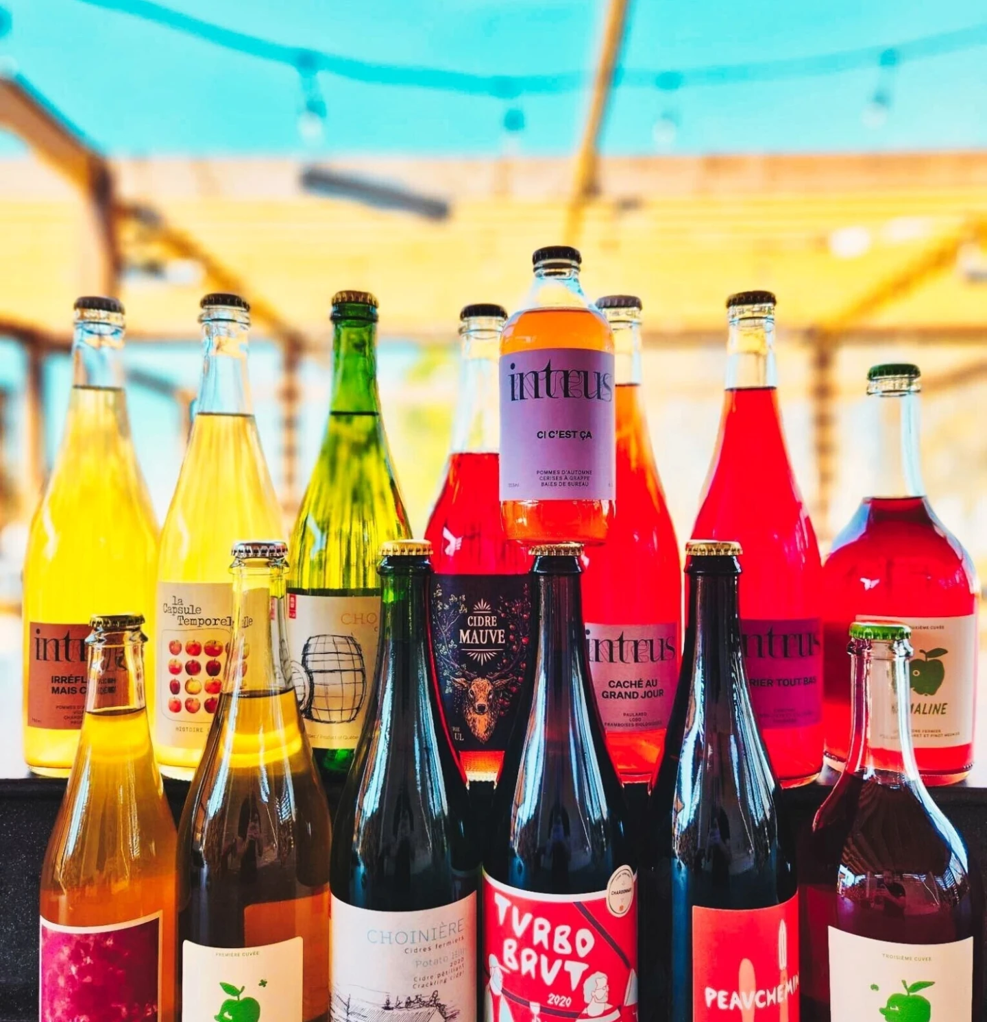 AQM Semaine Cidre Quebec2023 Au Paturage Photo 02