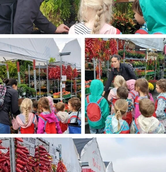 Garderie marche Jean Talon