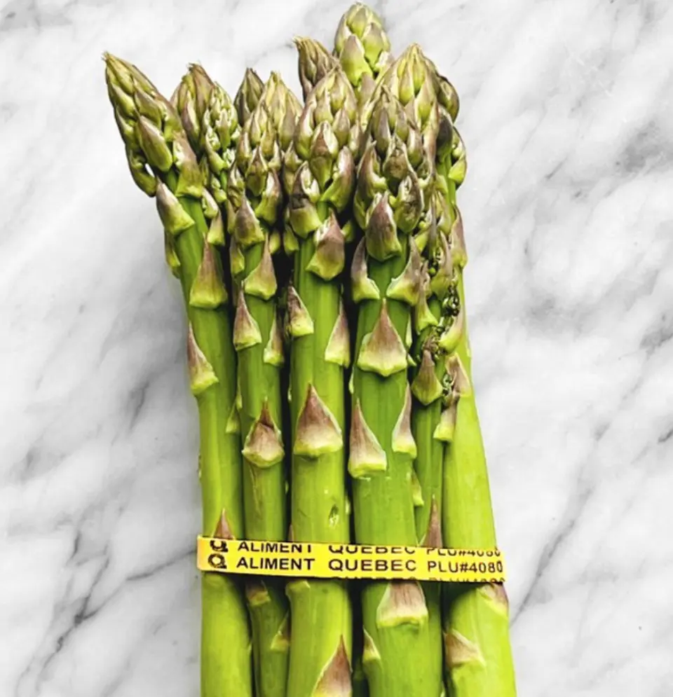 Asperge QC 1400x1400