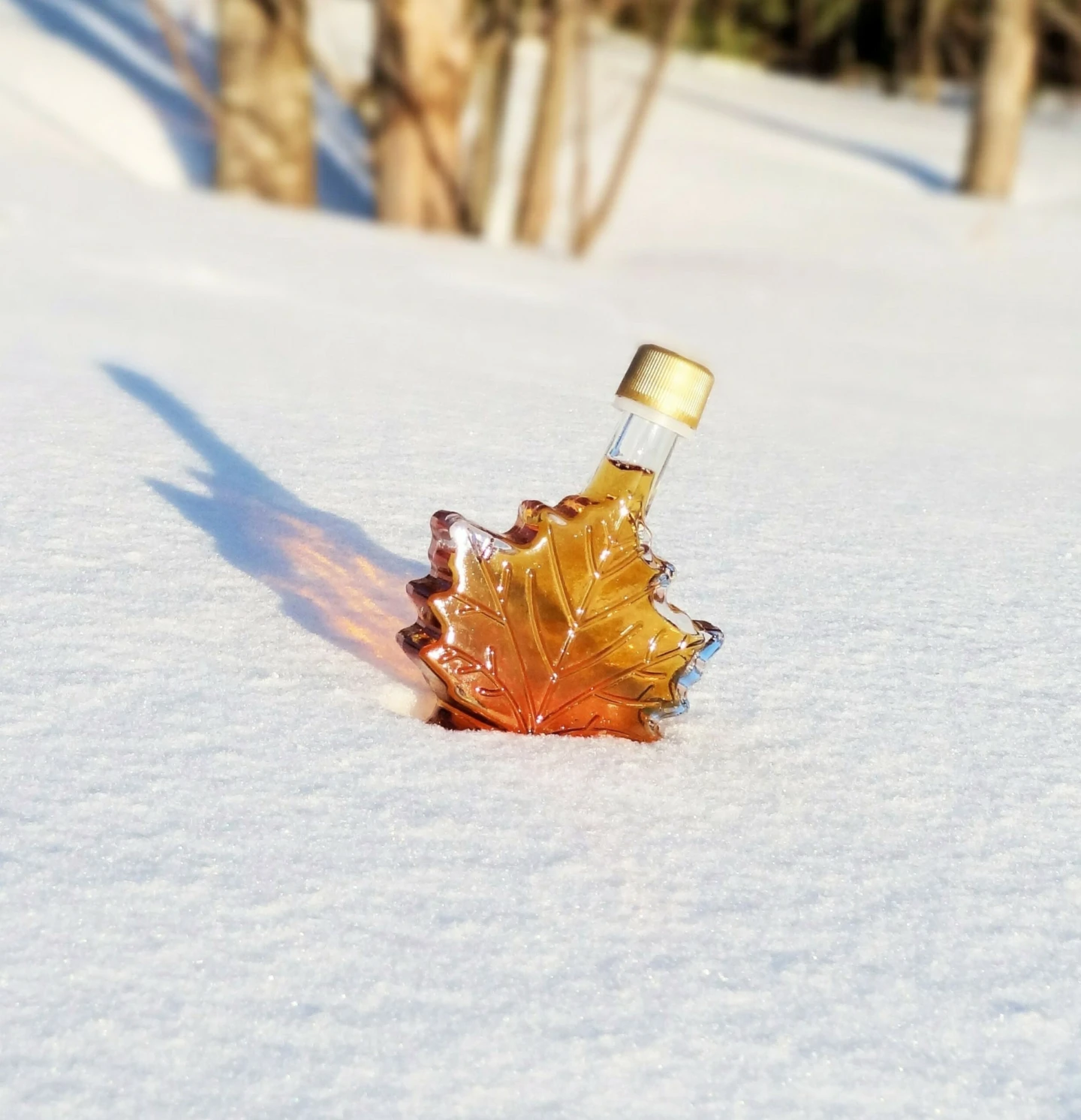 AQM Resto Mars23 10 Erabliere Meunier scaled