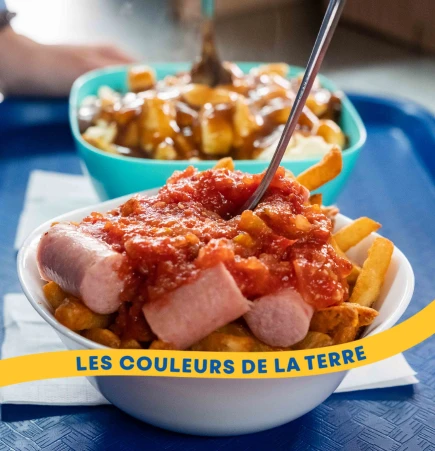 Les couleurs de la terre