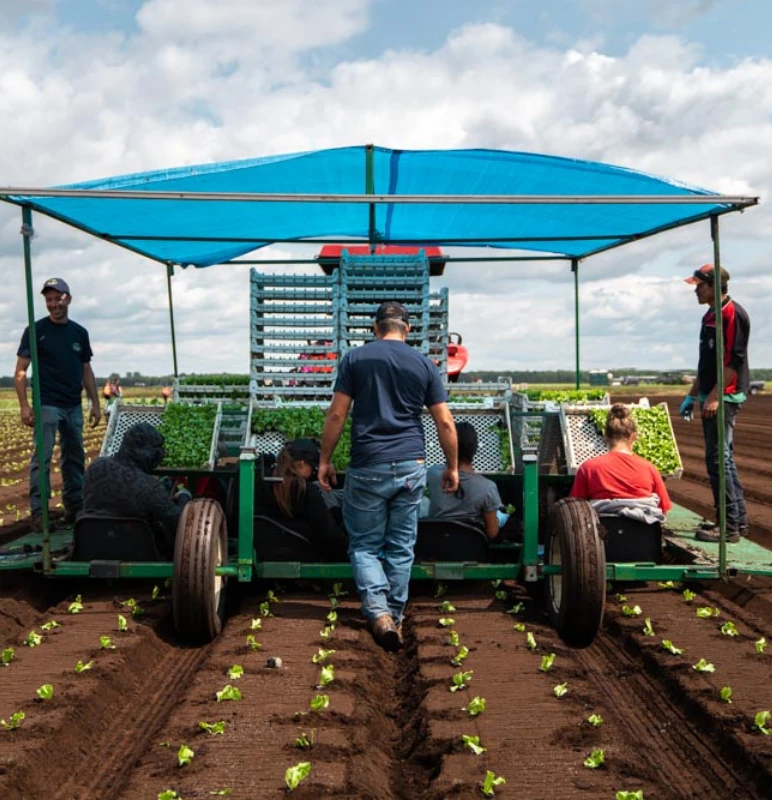 Savoir faire production