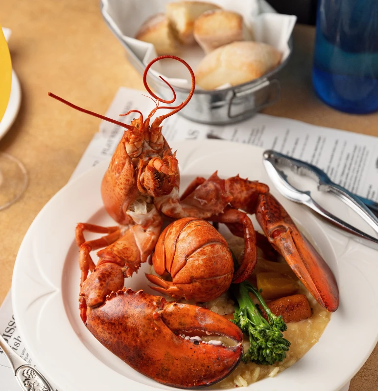 AQM Lamaisondupecheur