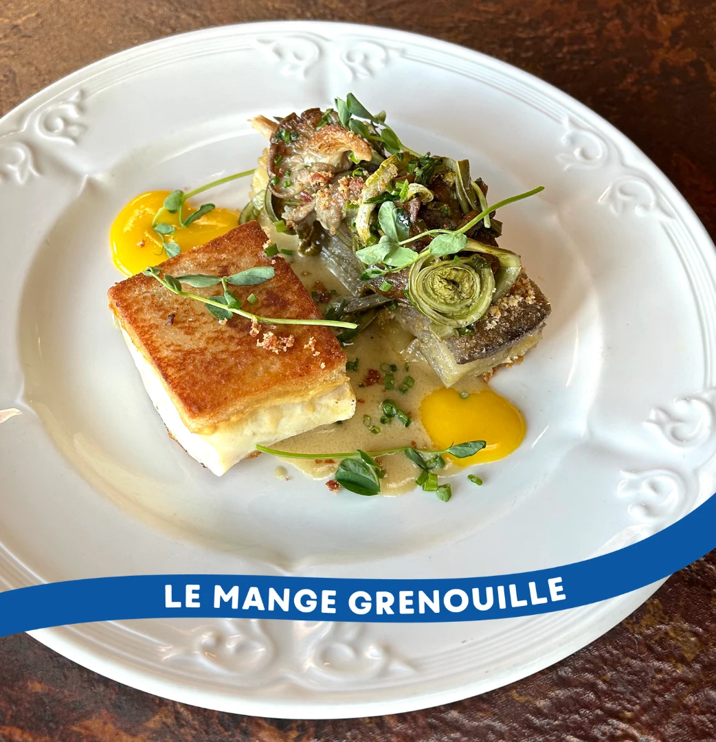 AQM Le Mange Grenouille