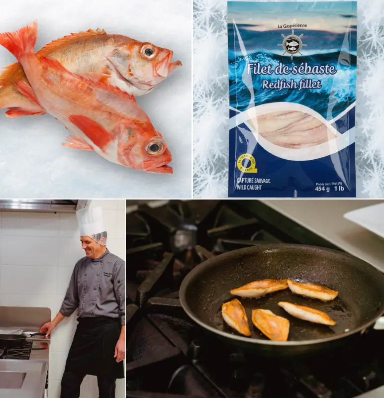 AQM I Astuces chefs 2026 800x800 Coll Montmorency 03