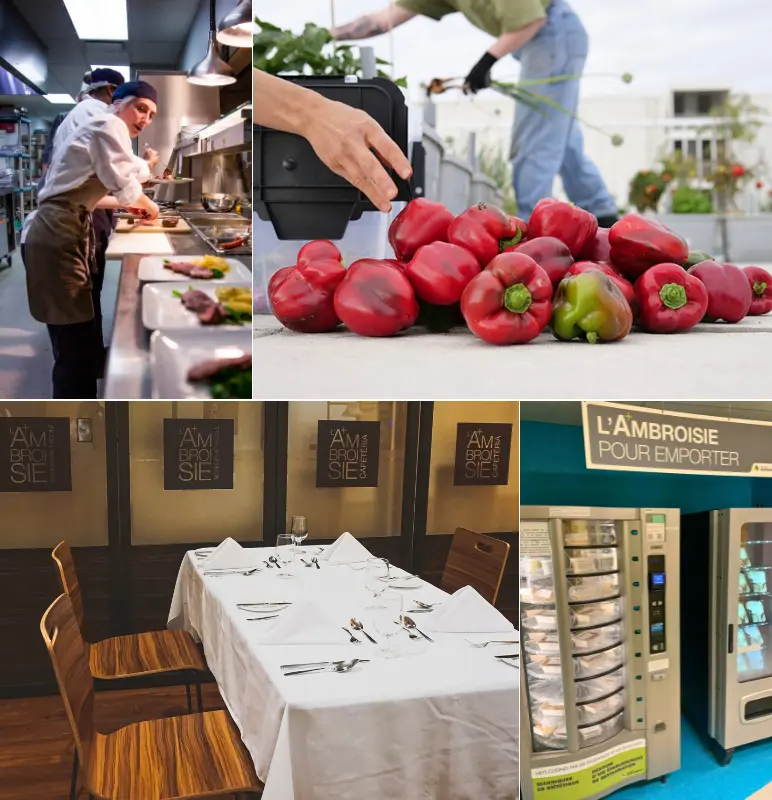 AQM I Astuces chefs 2026 800x800 Coll Montmorency 02