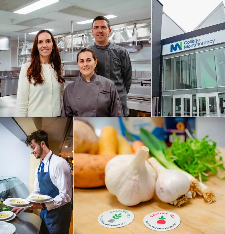 AQM I Astuces chefs 2026 800x800 Coll Montmorency 01