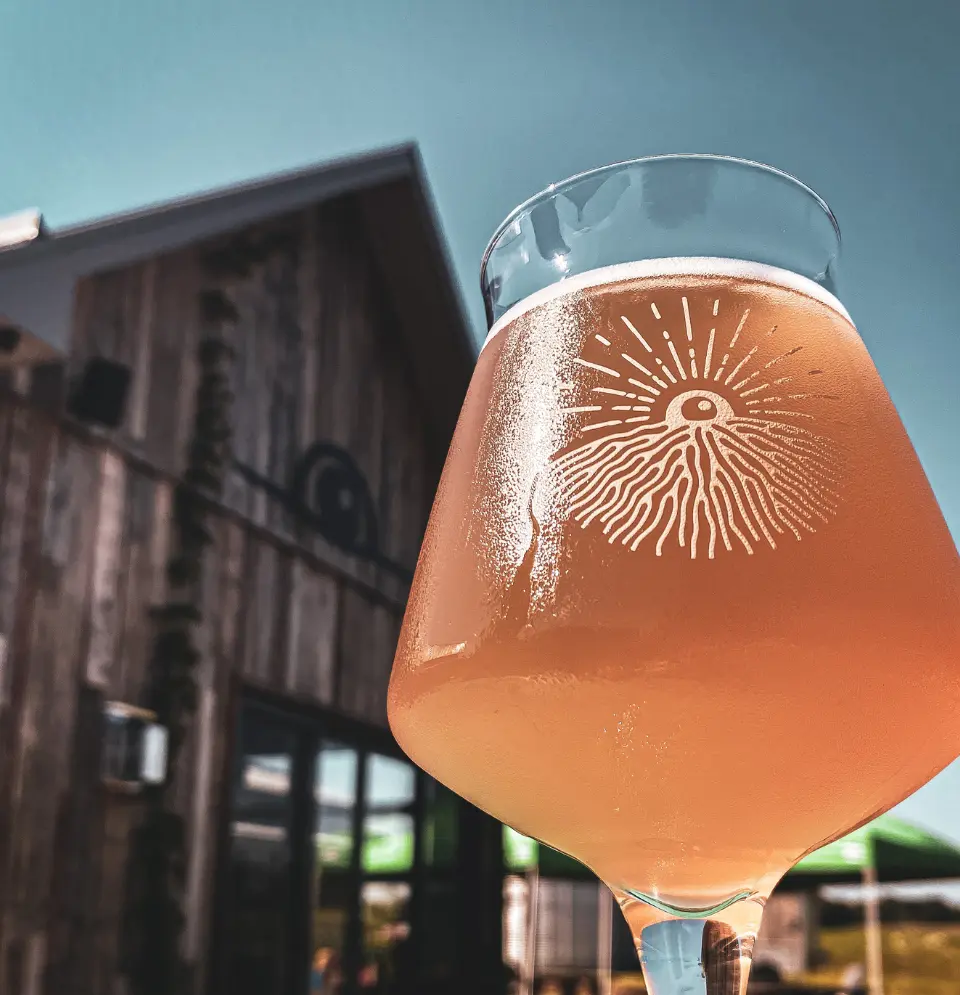 Terre a boire Quand lethique et la passion se marient dans un verre
