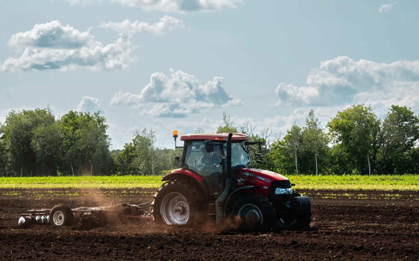 Production champs ADQ 1