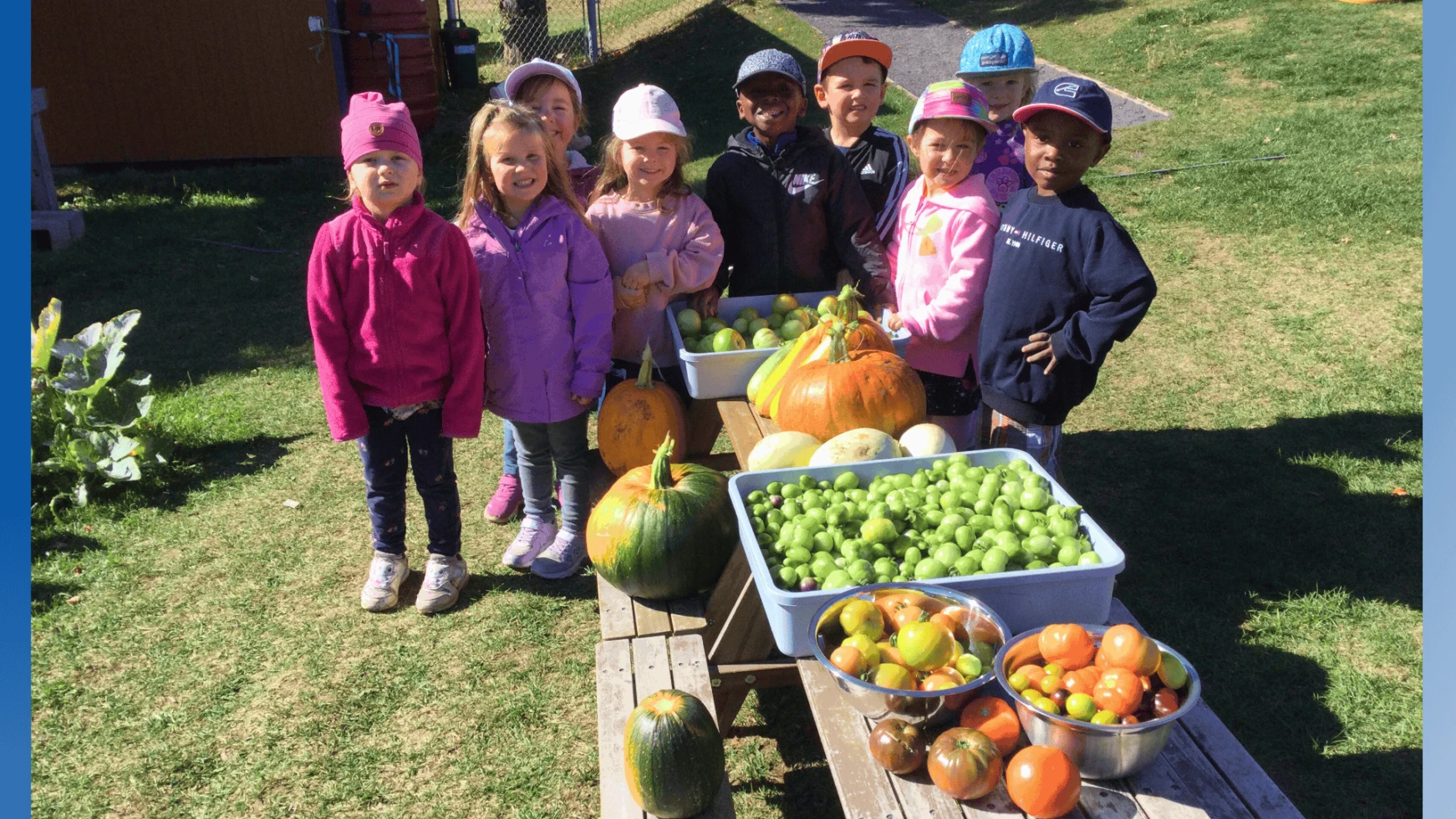 LIML Participant2025 1