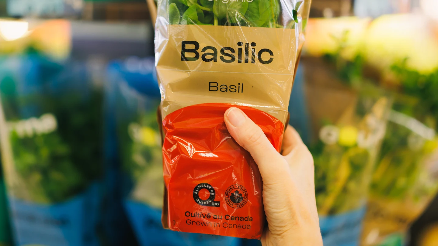 Basilic AQ bio