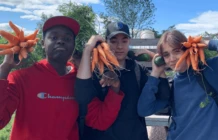 Trousse idees autocueillette 4 1