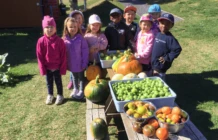 LIML Participant2025 1