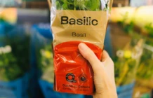 Basilic AQ bio