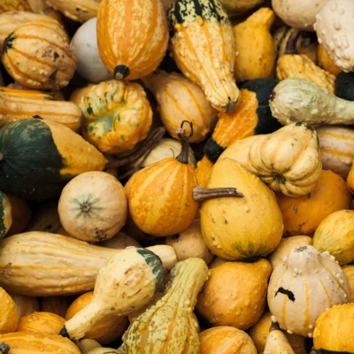 475x600courge 1506609226