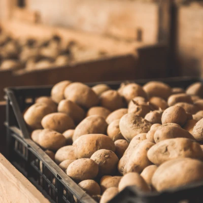 475x600krispy 1506624555