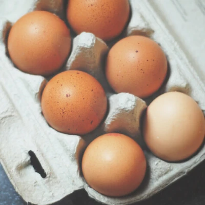 475x600 oeuf 1517971676