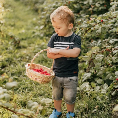 Fraiches Quebec recolte enfant