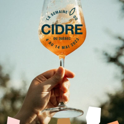 SDC Visuel IGS 2023 Photo