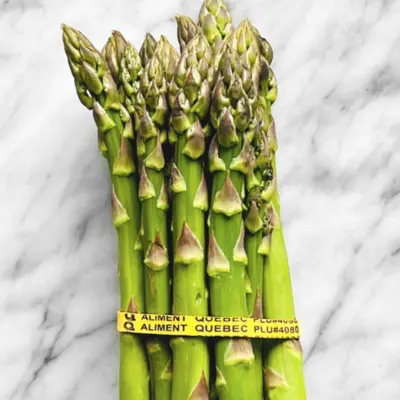 Asperge QC 1400x1400