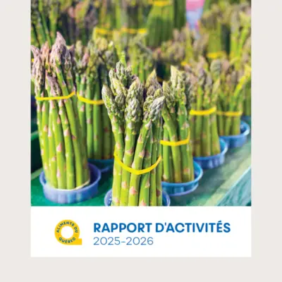 Rapport dactivies 3