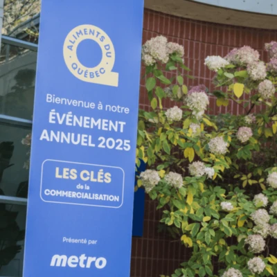 Creation sans titre 17