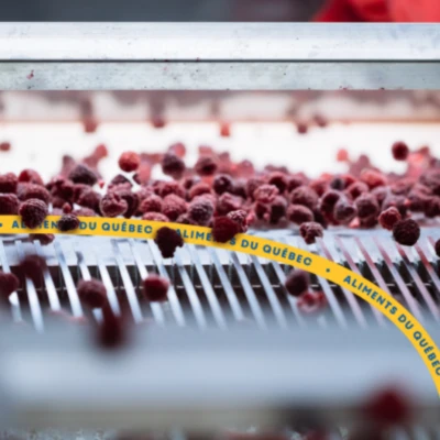 Creation sans titre 18