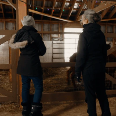 AQM Derriere le menu ferme alpacas 1