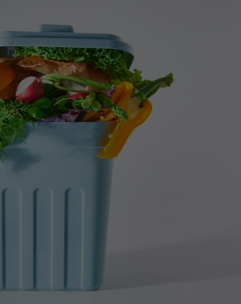 Revalorisation alimentaire : 10 entreprises québécoises engagées contre le gaspillage