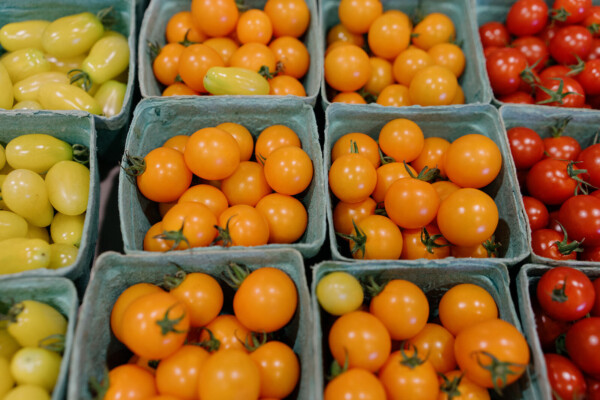 Des projets entrepreneuriaux pour valoriser les produits locaux