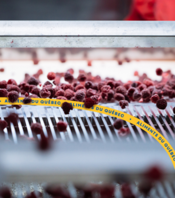 Recommendations from the Auditor General of Québec: 100% Completed