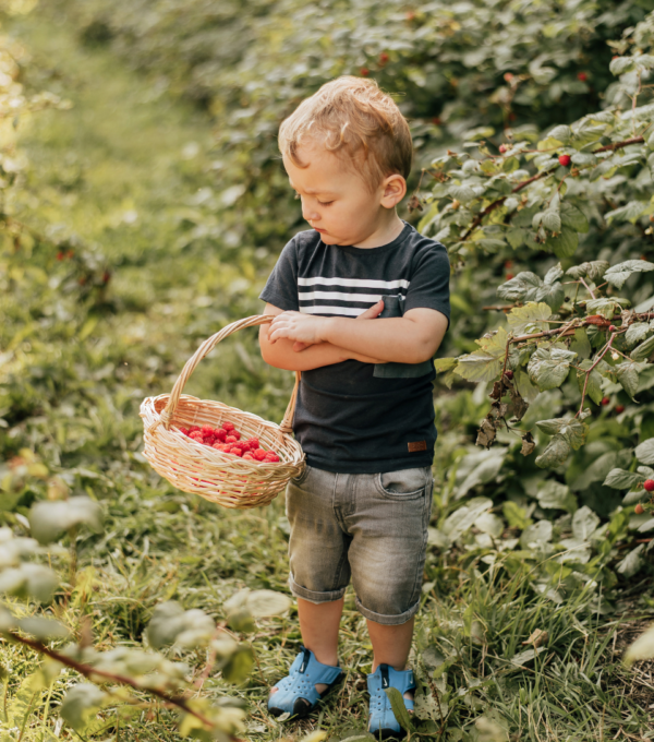 10 places to experience pick-your-own in Quebec