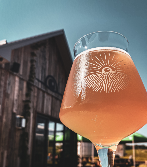 Terre à boire : Quand l’éthique et la passion se marient dans un verre