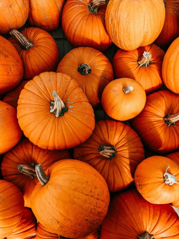 6 activities to enjoy the colors of fall