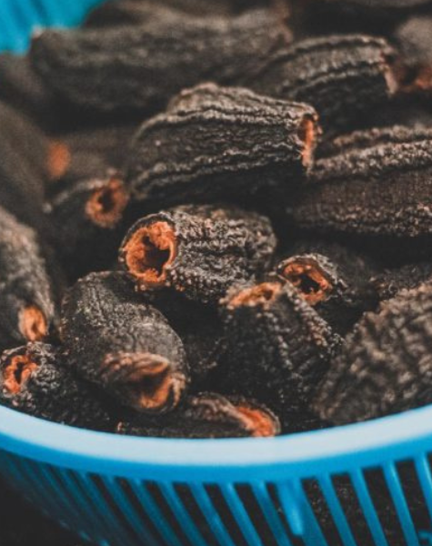 Your Next Culinary Discovery: Québec Sea Cucumber