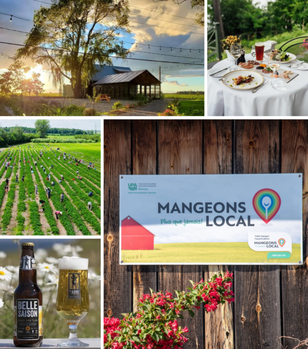 7 Gourmet Trails to Discover in Québec with the Mangeons Local App!